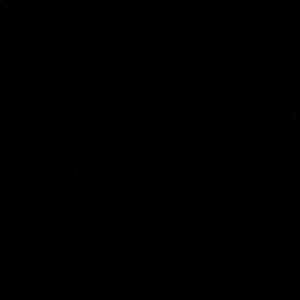 Meet your Posher, Curley